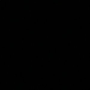 Meet your Posher, Isabella